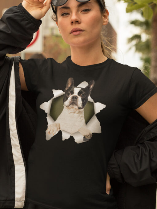 Boston terrier
