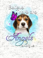 Moška majica I believe there are angels among us Beagle