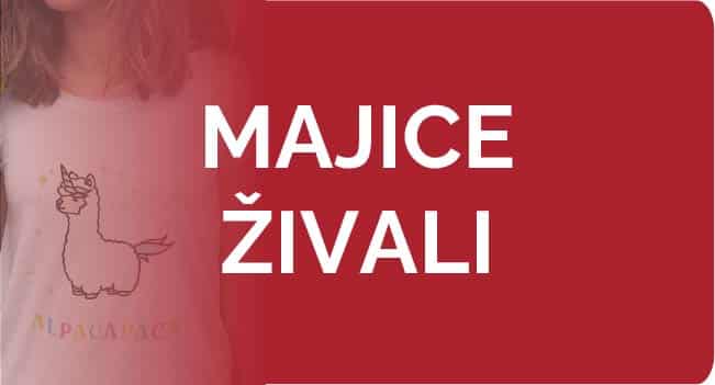 Živali