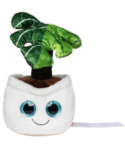 Plišasta lončnica - Monstera