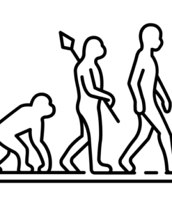 Evolucija