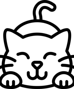 Mačke