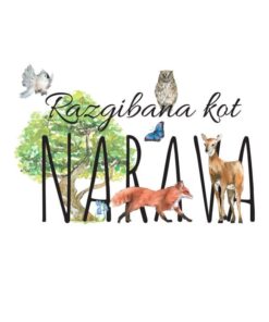 razgibana kot narava